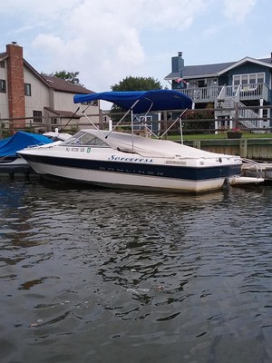 2003 Bayliner 195 + Trailer