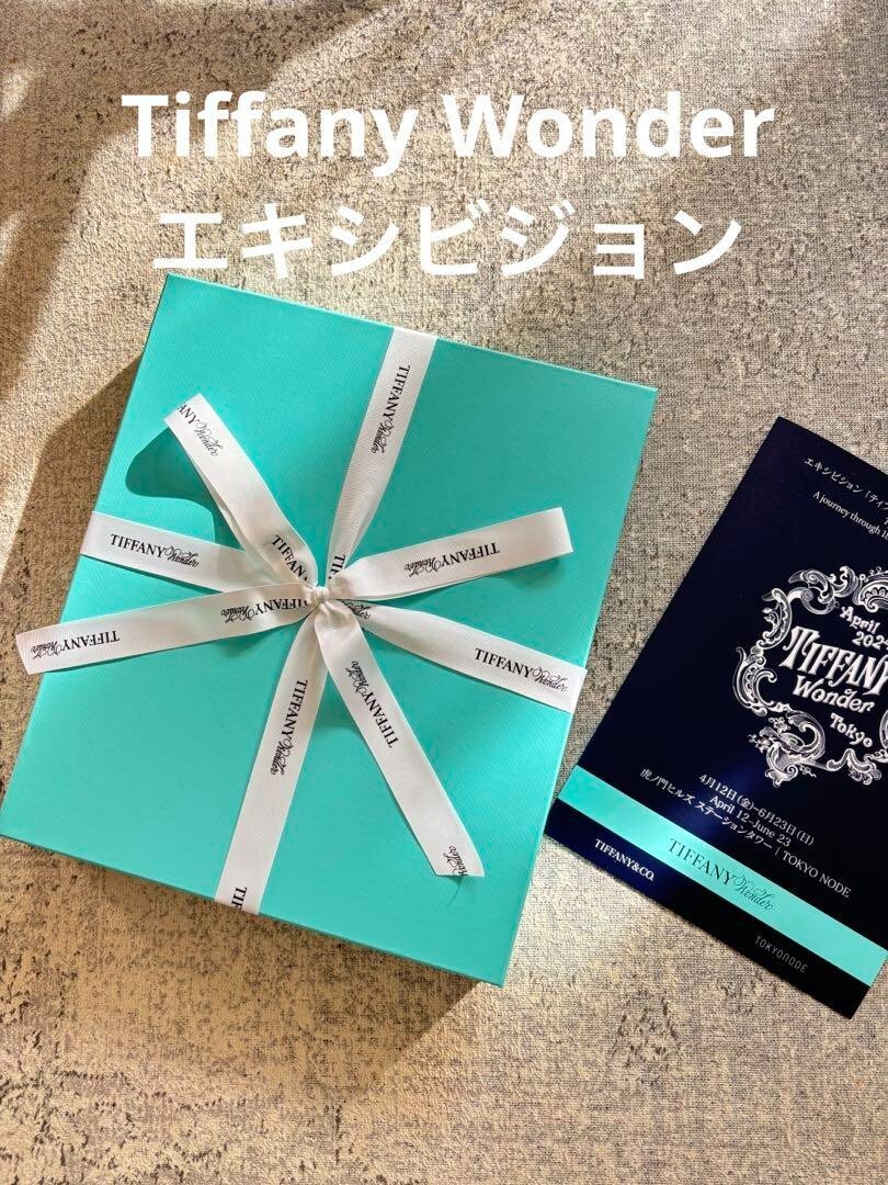 洋書 TIFFANY Wonder - Tiffany & Co. TIFFANY＆Co diary Jornal notebook TIFFANY WONDER TOKYO