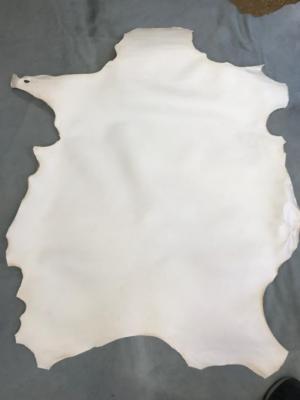 Natural Goat Parchment Vellum Rawhide