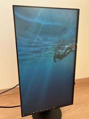 EIZO FlexScan EV2451 23.8 inch monitor