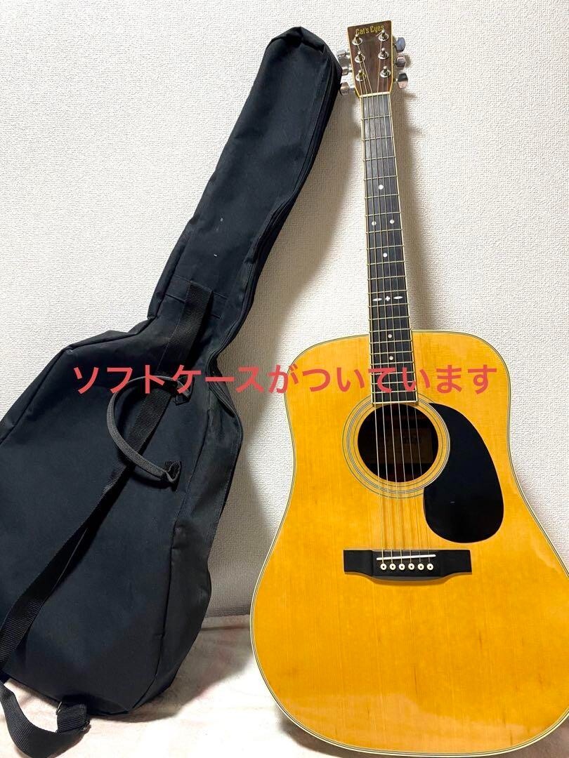 Tokai Cat's Eyes CE20 (エレアコ仕様) Tokai Cat's Eyes CE20 (エレアコ仕様)