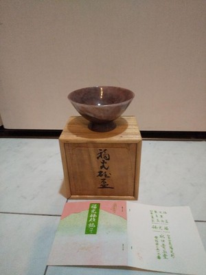Fukumitsu Gama Cup