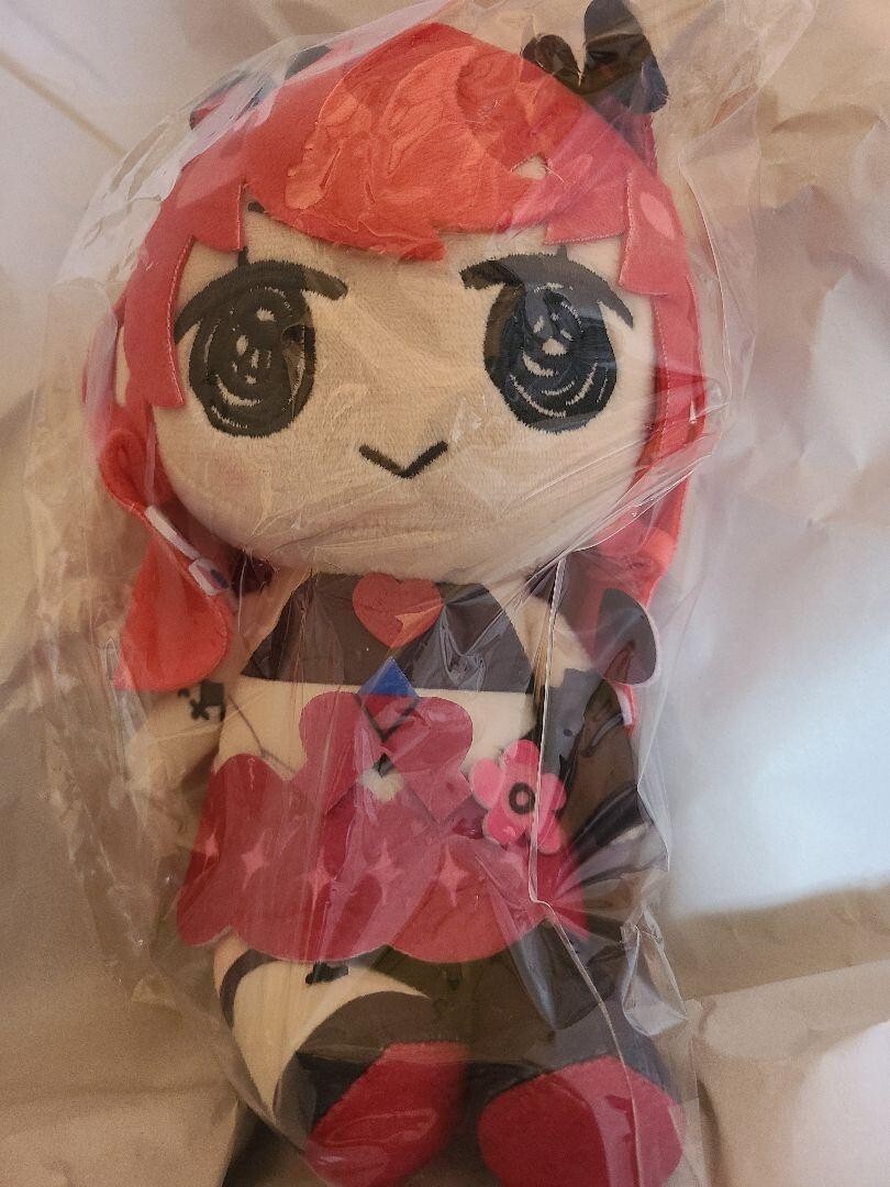 BEEGsmol IRyS ぬいぐるみ _57.JPG?set_id=880000500F
