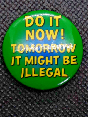 Do It Now, Tomorrow It May Be Illegal Button Pin Back
