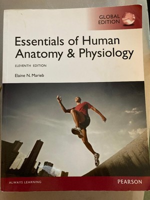 Essentials of Human Anatomy & Physiology Global Edition 11th Massage Text Book
