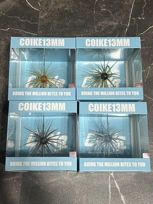 Koike 13Mm 4 Pieces Set