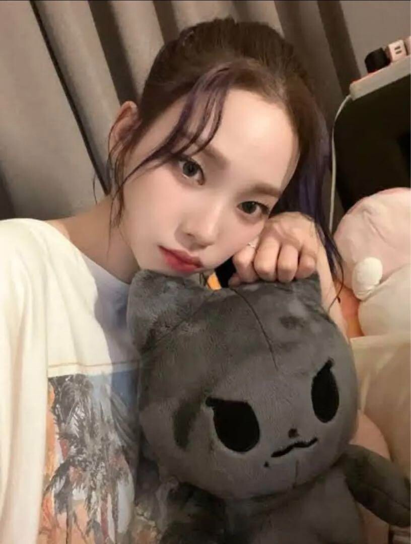 찌먕이 40cm カリナ aespa ぬいぐるみ ドール マスター Just 찌먕이 40cm カリナ aespa ぬいぐるみ ドール マスター Just
