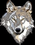 wolfs1404