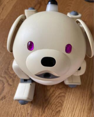 k797◇Sony 《ERS-311 / Aibo / アイボ / ラッテ / 元箱付属 / ジャンク》