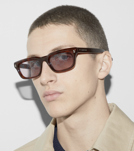Pre-owned Gucci Gg1524s-005  Havana Havana Violet Sunglasses