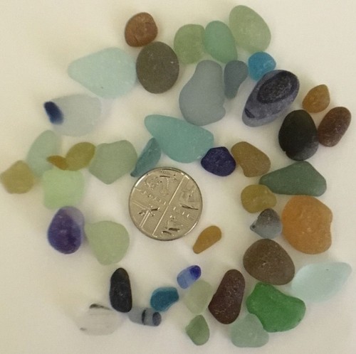 Sea Turtle Glass Decals - 15 Pieces 1 Inch 22k Gold Fused Glass Decals For Kiln Projects