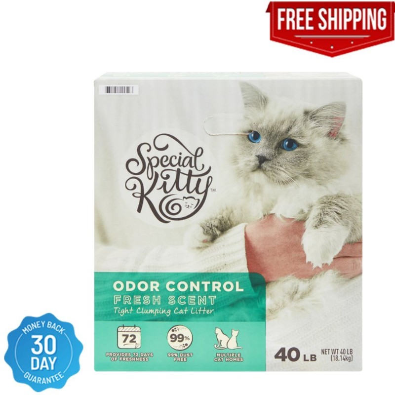 Special Kitty Odor Control Tight Clumping Cat Litter, Fresh 