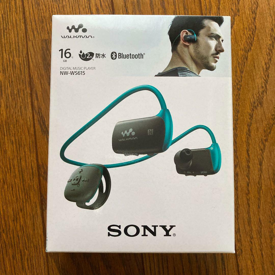 SONY NW-A45 Digital Audio Player DAP Walkman 16GB Grayish
