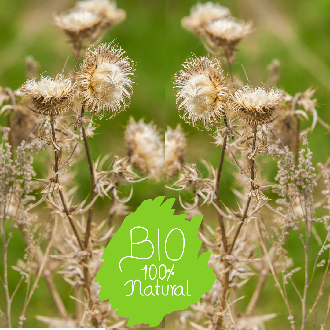 Organic Agrimony Herb & Powder Leaf | Whole Herb 1oz/4oz/8oz Natural Detox