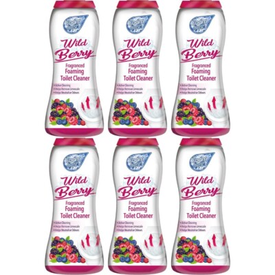 Duzzit Foam Fresh Foaming Toilet Cleaner Wild Berry 370g x 6