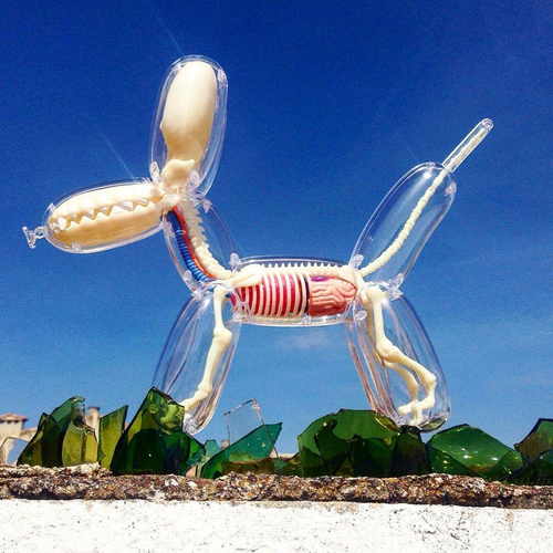 ノベルティグッズ BALLOON DOG FUNNY ANATOMY JASON FREENY $_12.PNG?set_id=880000500F