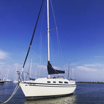 1977 Hunter 27' Sailboat - very good condition, New Jersey