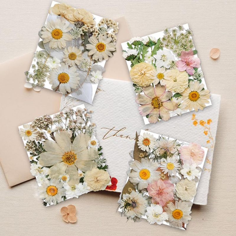 135PCS White Dried Pressed Flowers with Butterfly Stickers -  Real Nature Flower