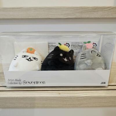 MINITEEN ジュン 4点セット O.C.L. SEVENTEEN JUN O.C.L. 4点SET miniteen - メルカリ