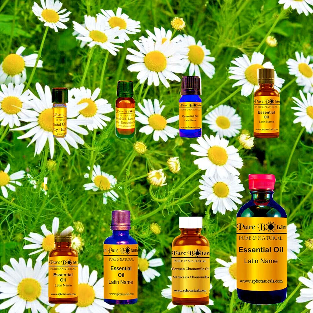 German Chamomile Essential Oil - 100% PURE NATURAL - Sizes 3ml to 8oz WHOLESALE