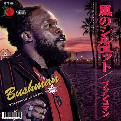 BUSHMAN WHAT YOU WON'T DO FOR LOVE NEW 7 INCH VINYL DISC