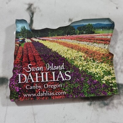 Swan Island Dahlias Canby Oregon Refrigerator Fridge Magnet