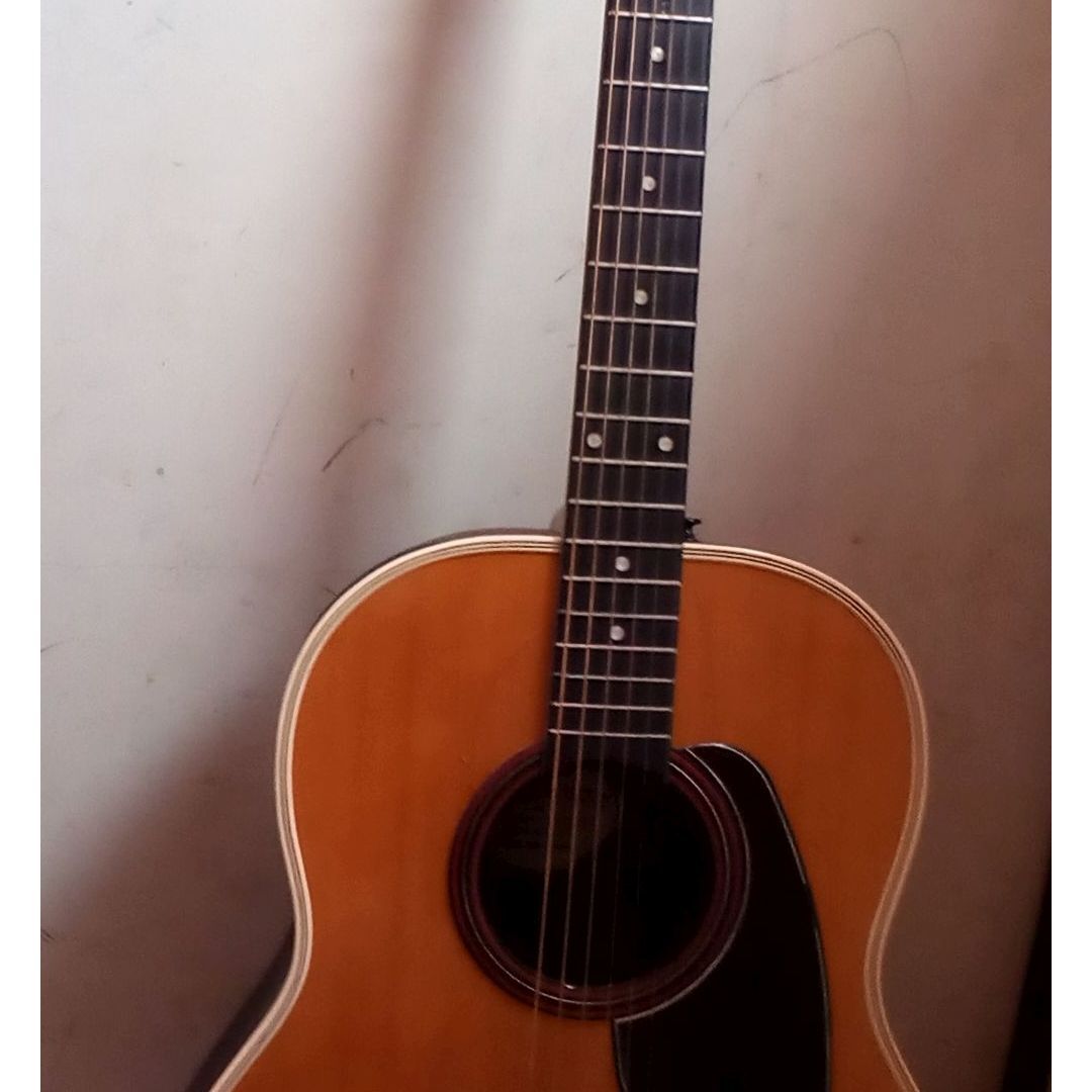 1970s Ovation Applause AA14-4 USA made, bronze frets in