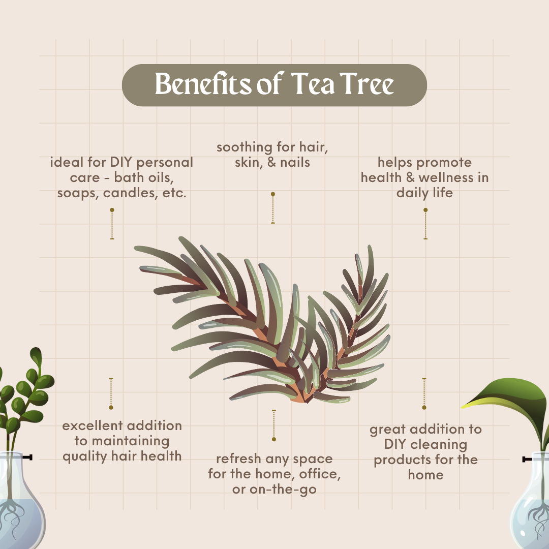 2 fl oz Tea Tree Essential Oil (100% Pure & Natural) - GreenHealth