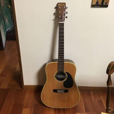 Electric Acoustic Guitar Jagard & Co. JD-200 NaturalNakai