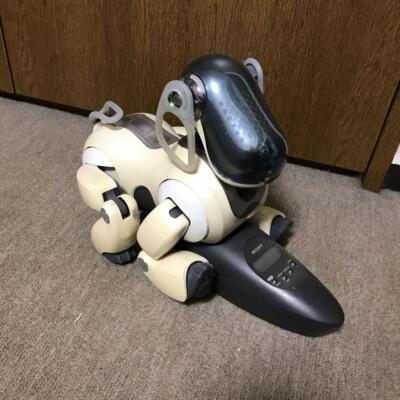 SONY Aibo ERS-7 Pearl White Used Item Rare JAPAN JP | eBay