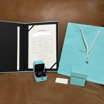 Tifany & Co. Engagement Ring Tiffany Harmony 0.29ct Diamond