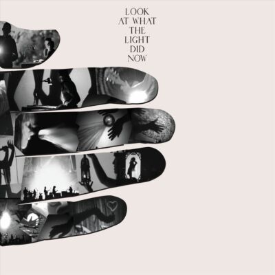 ミュージック FEIST /  Look At What The Light Did Now Look At What The Light Did Now — Feist | Last.fm