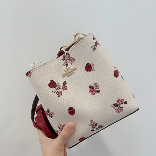 日本未入荷 Coach CAL11 Mini Bucket Bag フルーツ柄 Coach NWT Coach Mini Bucket Bag With Strawberry Print CAL11