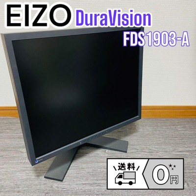 EIZO DuraVision FDS1903-A 19 inch monitor 2020 New