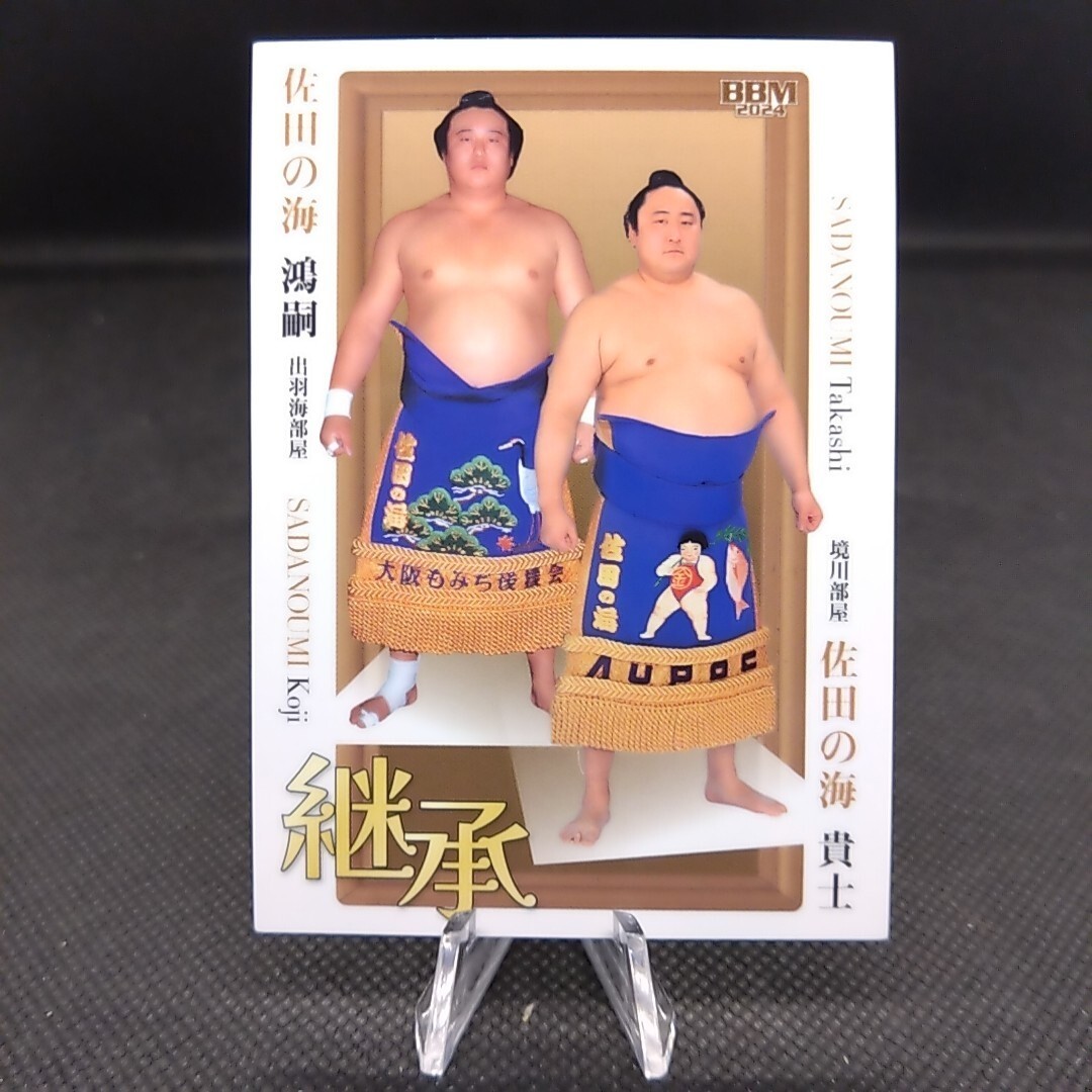 Sadanoumi Takashi koji No.77 BBM Sumo Wrestler Trading Card