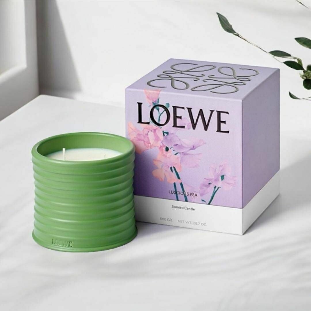 LOEWE Scented Candle Lucious Pea Essence 170g 30H Gift W/Box