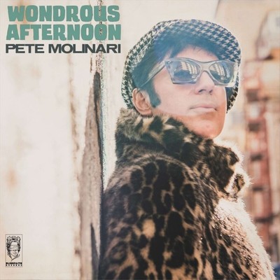PETE MOLINARI WONDROUS AFTERNOON NEW LP