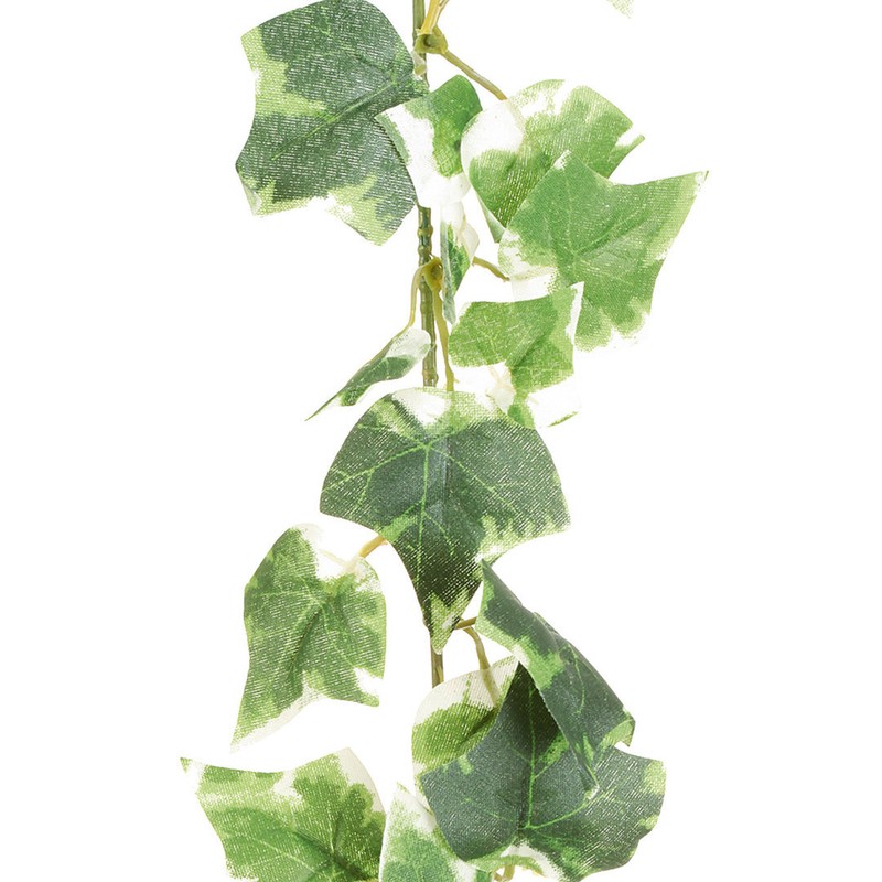 KÃ¼Nstlicher Efeu Engl. Mini Efeugirlande Ca 180cm. Eveu, Efeuranke GrÃN-Weiss
