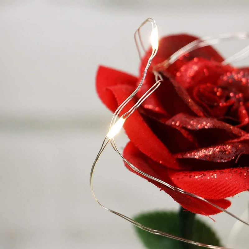 Beauty and the Beast Rose Flowers,Women Gifts Idea Birthday, Unique Gifts for He