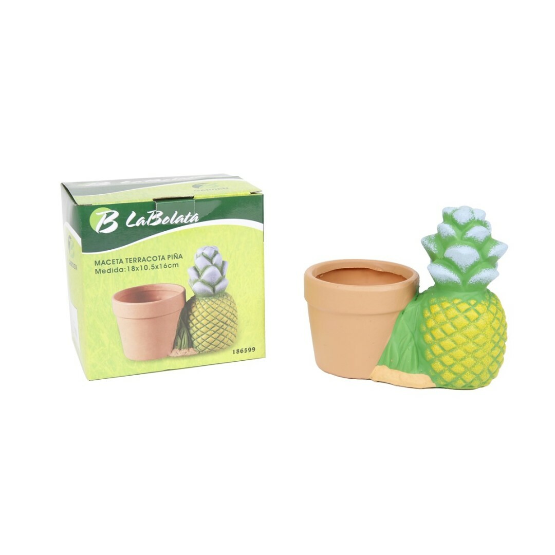 Vaso In Terracotta Con Pigna Vaso Fiori Piante Decorato 14x8x12cm