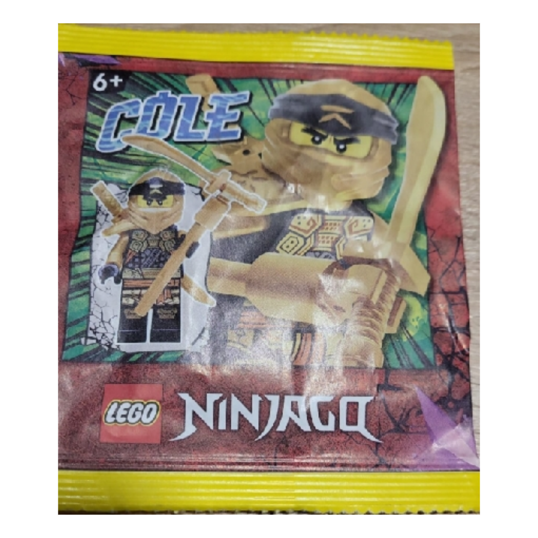 LEGO NINJAGO Crystalized Cole Paper Bag 892295-1 | eBay