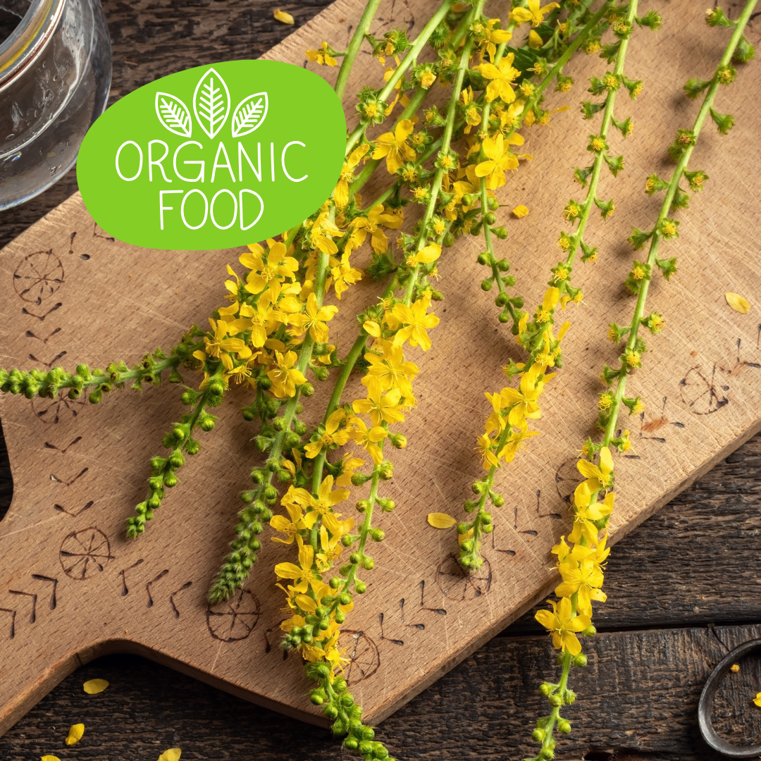 Organic Agrimony Herb & Powder Leaf | Whole Herb 1oz/4oz/8oz Natural Detox