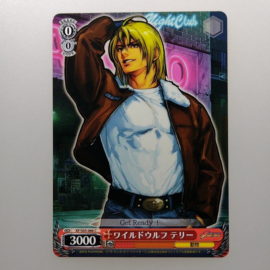 Terry Bogardさん専用　ネオジオランド $_57.JPG?set_id=880000500F