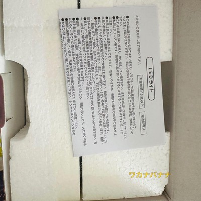 Disney Store Japan FEEL LIKE RAPUNZEL Tangled Pascal LED Light  2024 limited