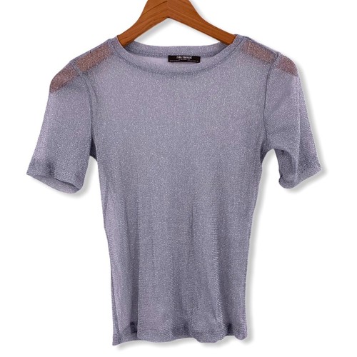 Zara Silver Metallic Shimmery Sheer Short Sleeve Top | eBay