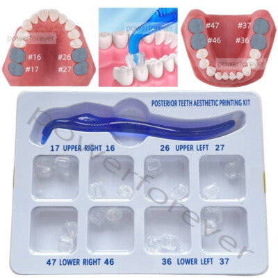 1 Kit Dental Aesthetic Printing Light Cure Composite Molar Resin Print Mould