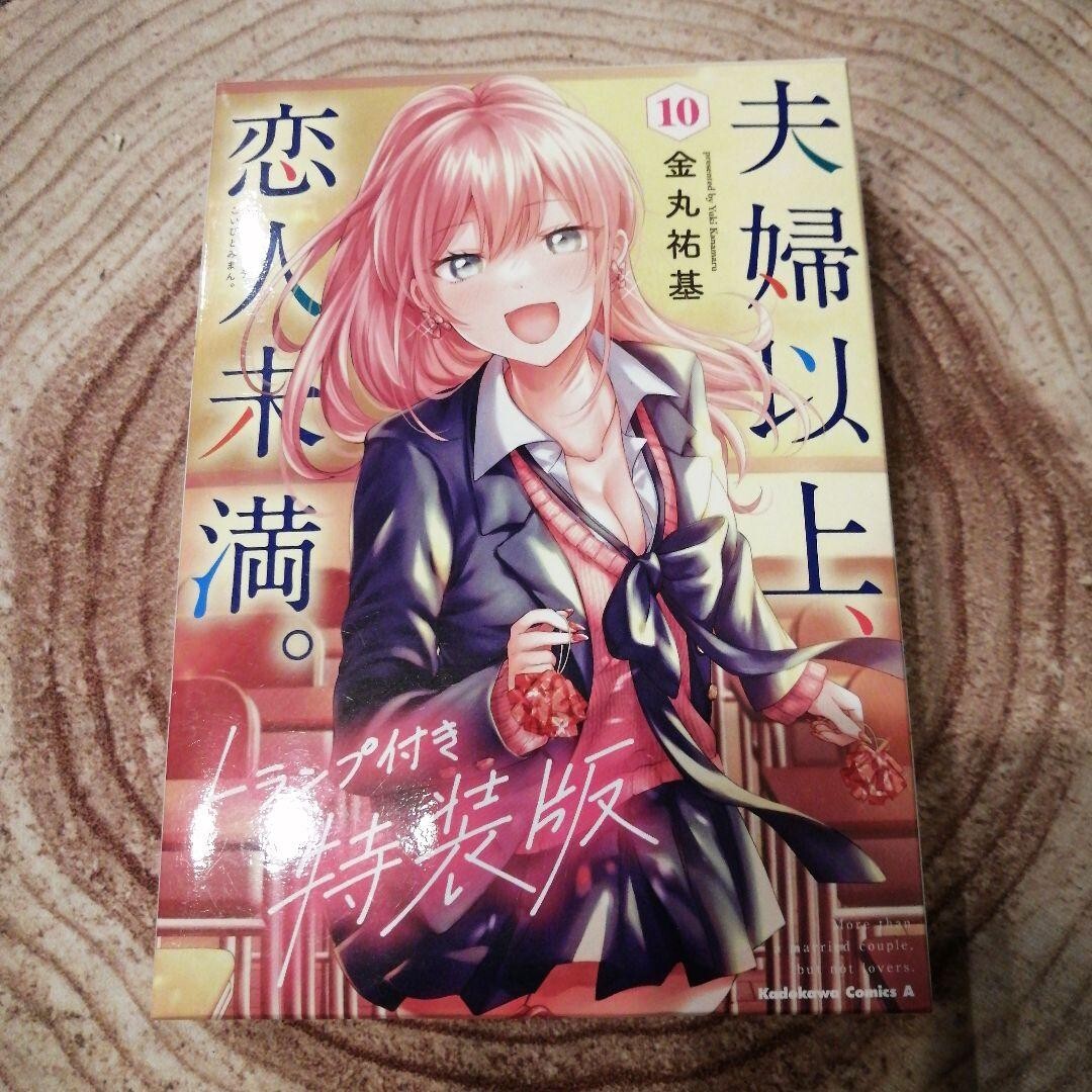 More Than a Married Couple, But Not Lovers Vol.10 Special