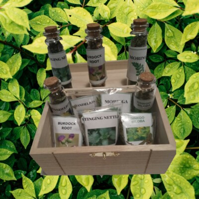 ORGANIC Medicinal Healing Herbs 5 Vial Pack Box + REFILLS +Tea Bags Apothecary 