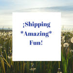 **shipping_amazing_fun**