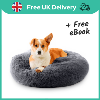 Medium dog beds with removable clearance covers